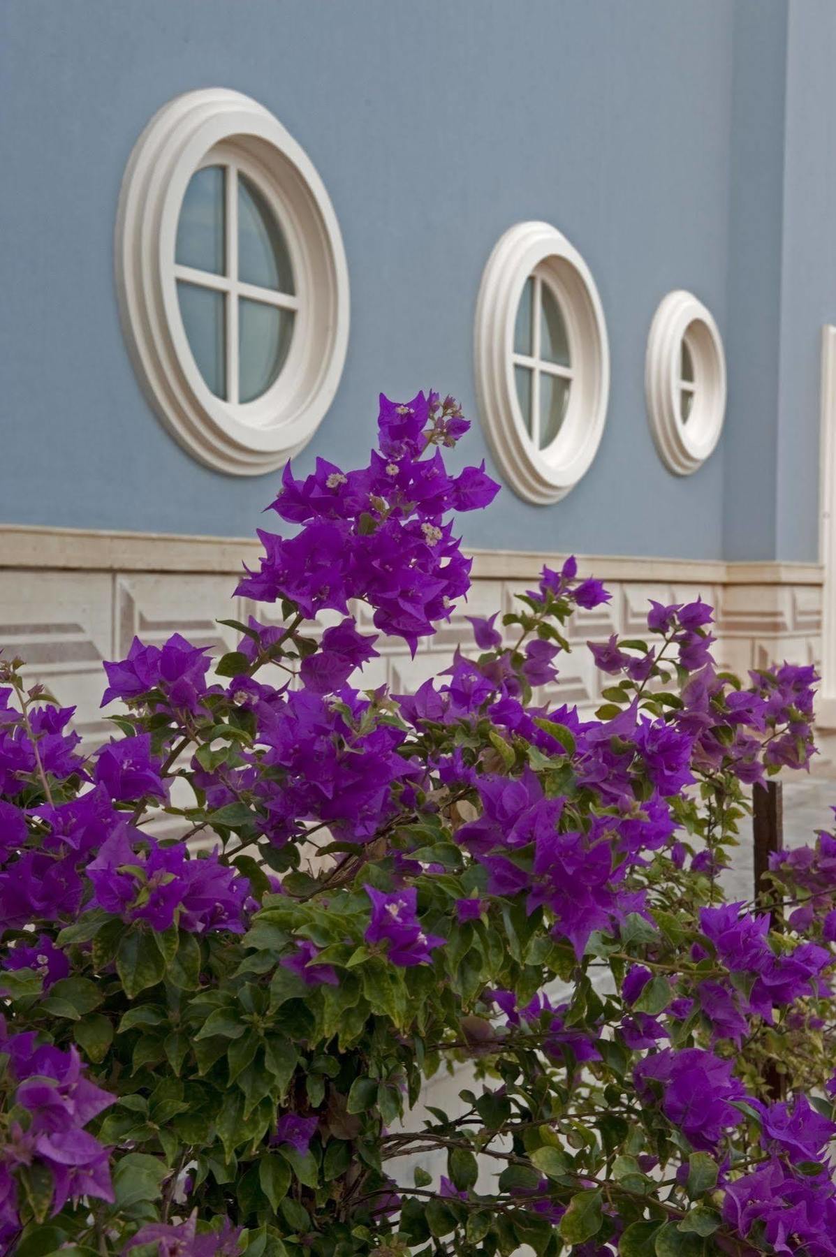 La Maison Bleue El Gouna (Adults Only) Hurghada Exterior photo